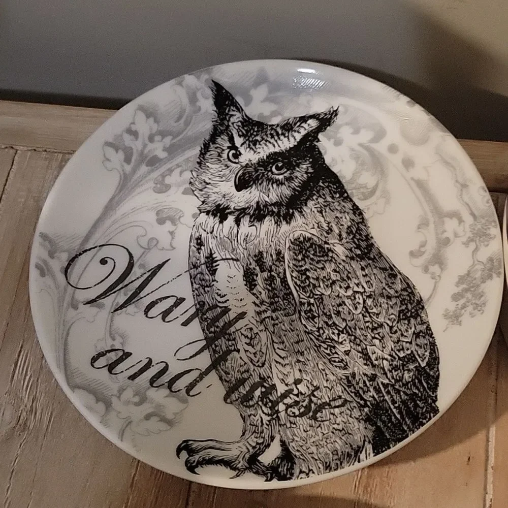 POTTERY BARN Curiosity Plates Midnight Dreary Appetizer SET of  3 6 1/2”